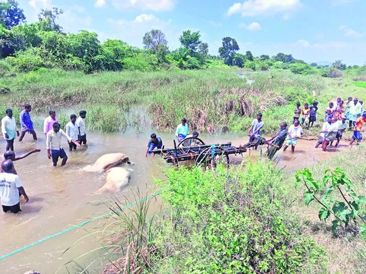 వరద ఉధృతికి కొట్టుకుపోయిన ఎద్దుల బండి 