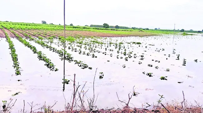 ఆశలు ఆవిరి!