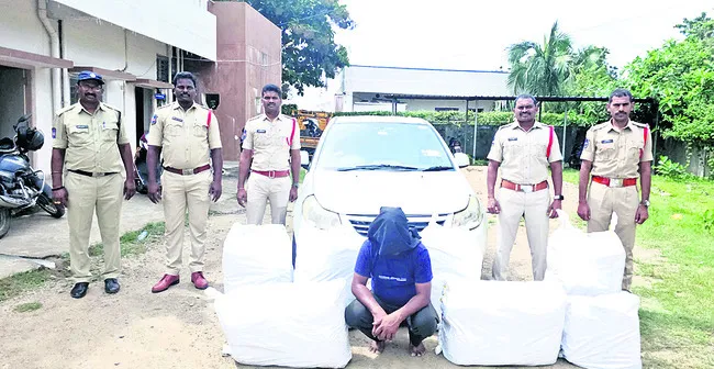 205 కేజీల గంజాయి పట్టివేత 