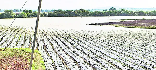 గోదావ