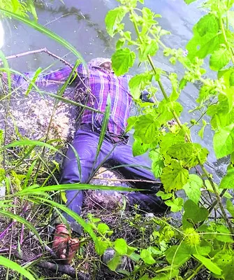 చెరువులో గుర్తు తెలియని  మృతదేహం 