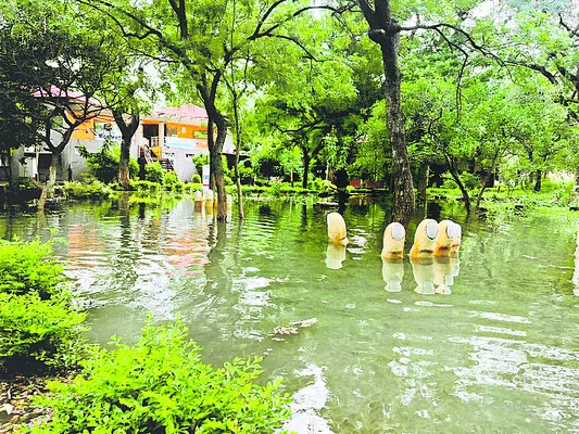 పాపం.