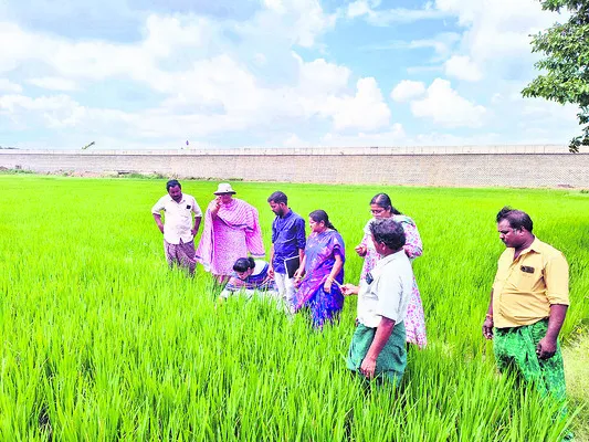 శాంతించిన తాలిపేరు 