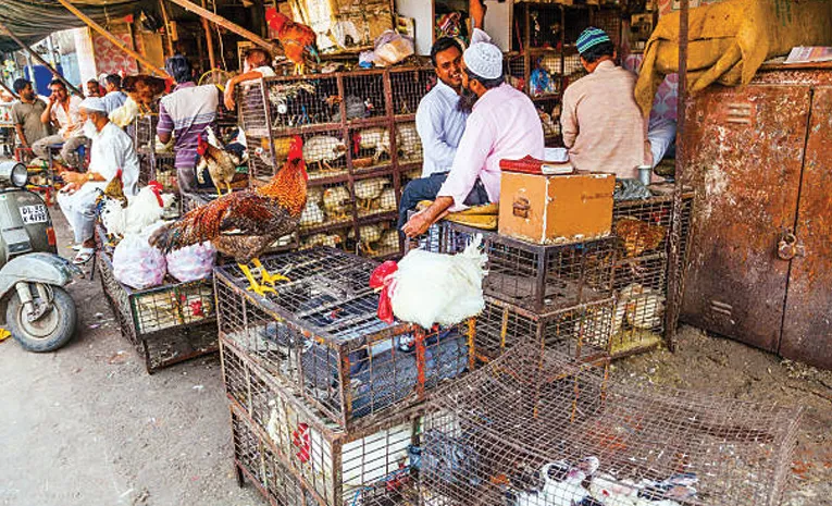 మటన్, చికెన్‌ షాపులు తెరవొద్దు