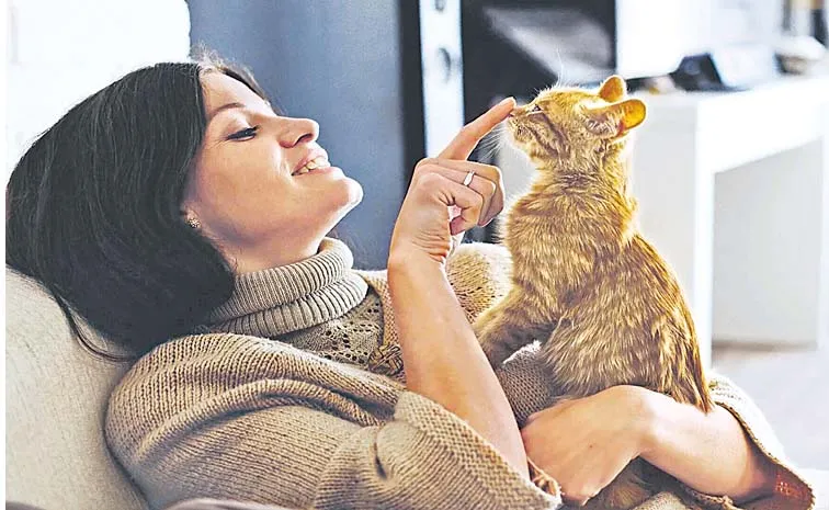 CAT Refers To Cognitive Analytic Therapy: Process Uses and Benefits