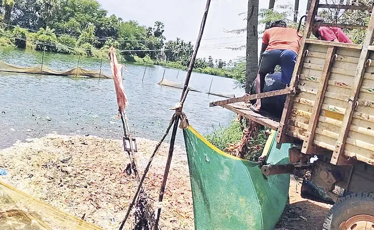 Making Huge Money From Chicken Waste in Andhra Pradesh