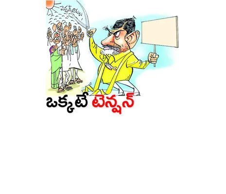 హామీల
