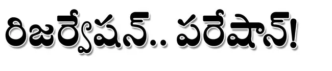 పలు గ