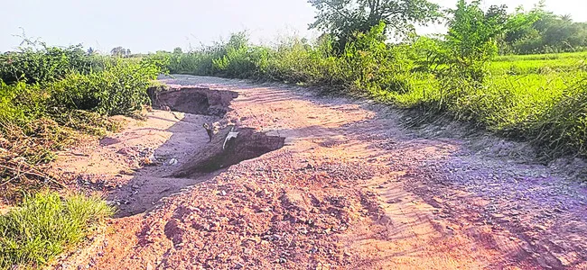 కోతల 