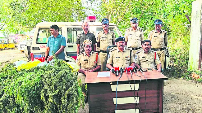 160 గంజాయి మొక్కలు స్వాధీనం