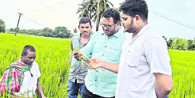 దగాపడ