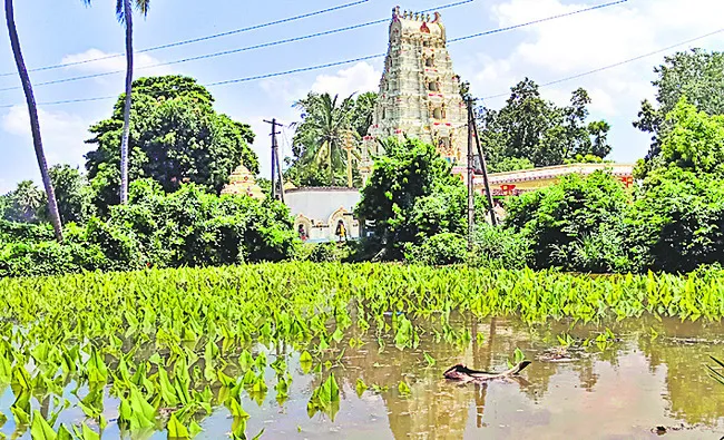 పాపం.