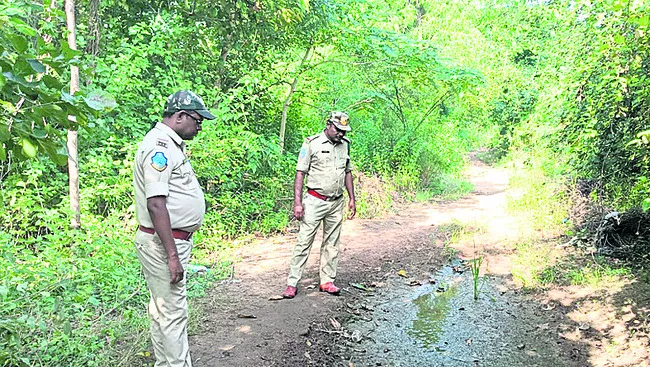 పెద్దపులి సంచారం వదంతులు నమ్మొద్దు