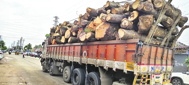 అక్రమ రవాణాకు అడ్డేది! 