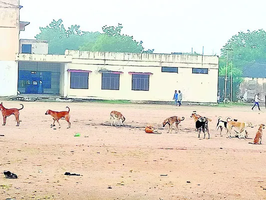 కుక్క