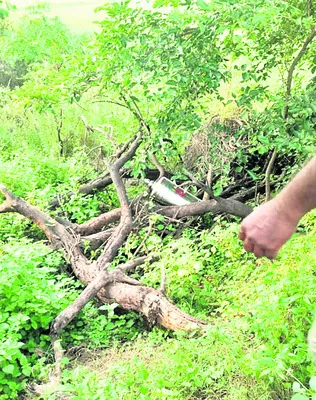 ఆలయాల్లో దొంగతనం