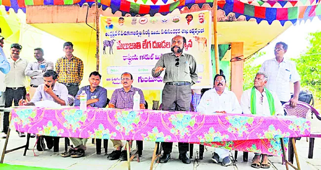 పశు సంతతిని పెంచుకోవాలి 