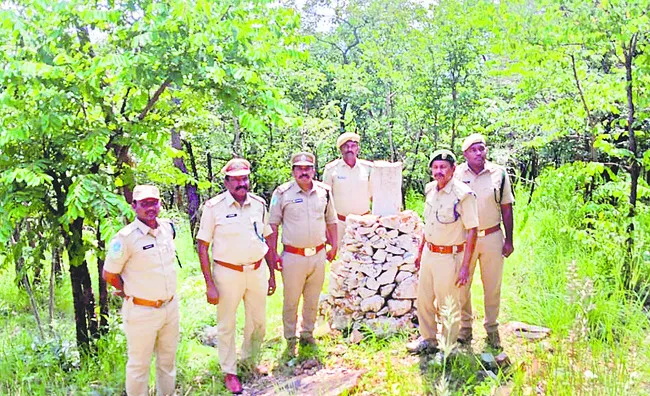 అటవీ ప్రాంతంలో ఫ్లయింగ్‌ స్క్వాడ్‌ తనిఖీలు 
