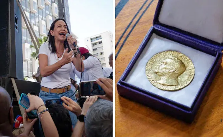 How Much Prize Money Does A Nobel Peace Laureate Get