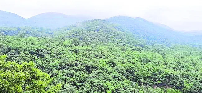 ఇంటి 