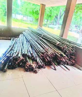 అక్రమంగా కలప తరలింపుతో  బిక్కుబిక్కుమంటున్న వన్యప్రాణుల