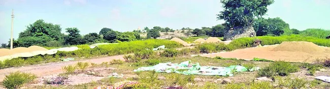 ధాన్యం కొనుగోళ్లకు సిద్ధం