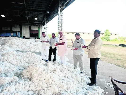 పది రోజుల్లో పత్తి కొనుగోళ్లు