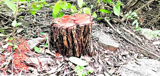 ఊరు డోర్నకల్‌... పేరు ఖమ్మం