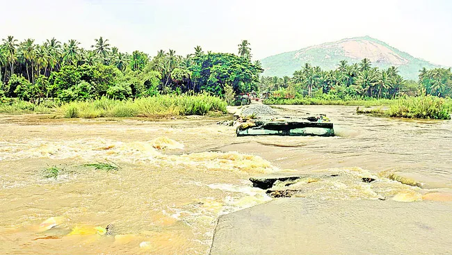 పళ్లిపట్టులో 7 సెం.మీ. వర్షపాతం