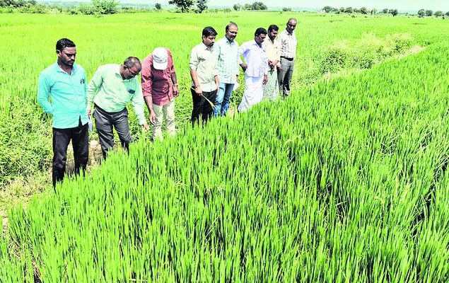 సాగులో నూతన పద్ధతులు అవలంబించాలి