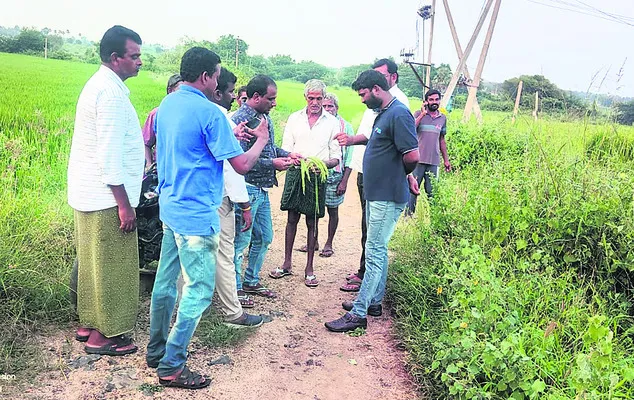 కల్తీ వరి విత్తనాలు వచ్చాయని రైతుల ఆందోళన