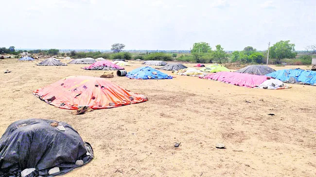 టార్పాలిన్లు అందేనా..