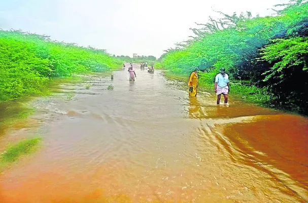 బొమ్మ