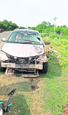 పొదల్లో విగతజీవిగా..