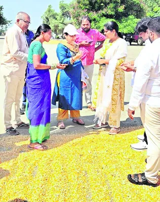 సాంకే