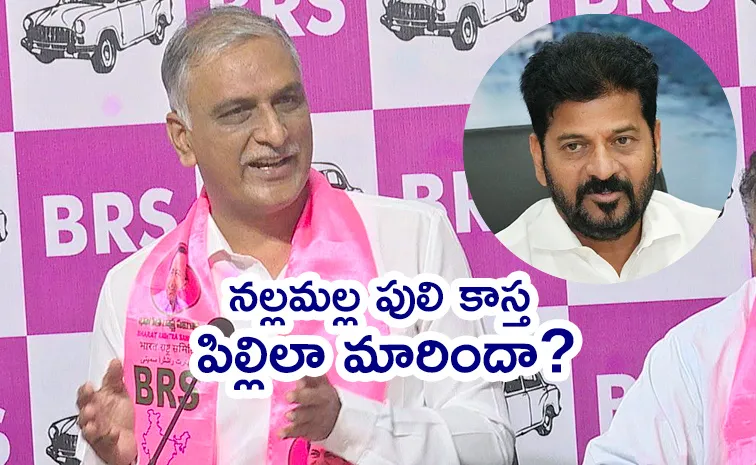 BRS Harish Rao Key Comments On Banakacherla Project
