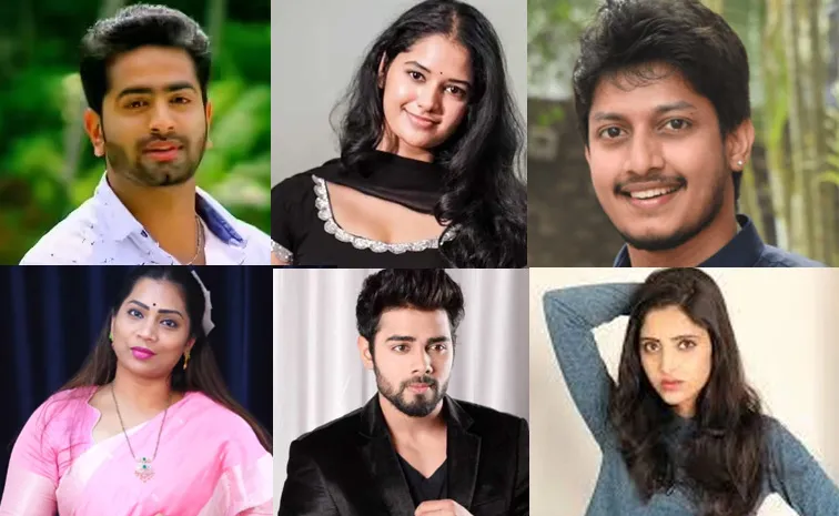 Bigg Boss 9 Telugu Wild Card Entries Details