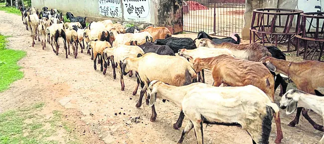బహుదూ
