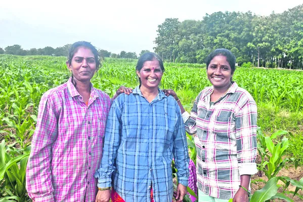 బదిలీ