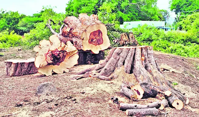 అక్రమ