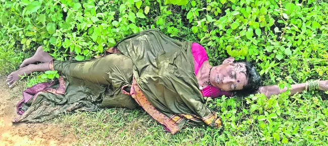 చెట్ట