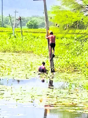 ఈదుకు