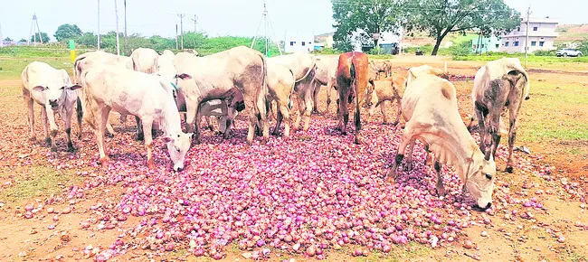 కష్టం కరిగి.. నష్టం మిగిలి