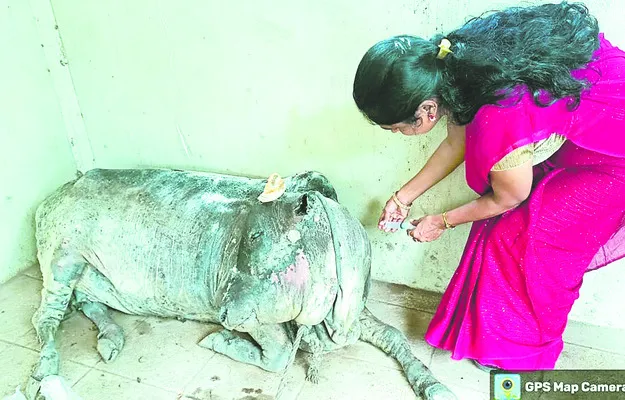 ఏడాది