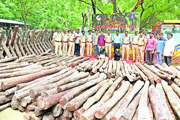 10 టన్నుల ఎర్ర చందనం స్వాధీనం