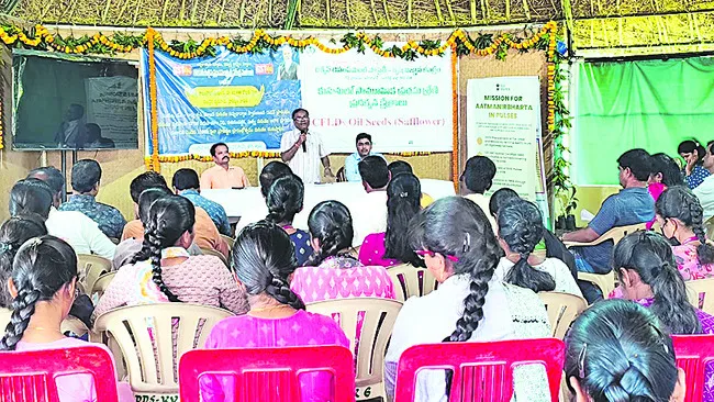 నూనెగింజల సాగుపై దృష్టి సారించాలి
