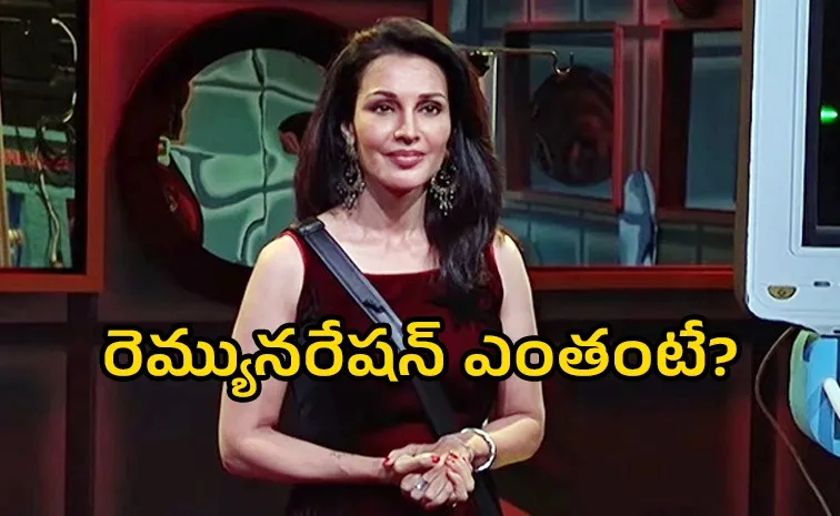 Flora Saini Eliminated Bigg Boss 9 Telugu 