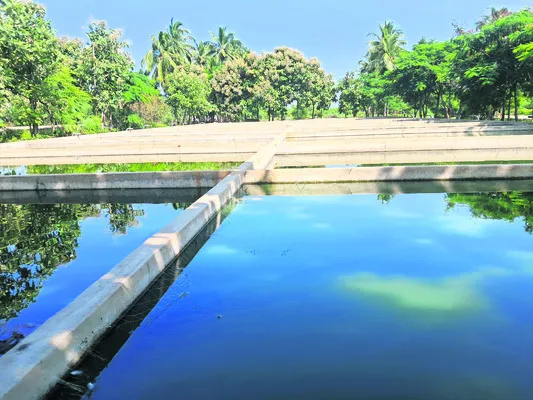 కుండీల్లో మిగిలింది సగమే..