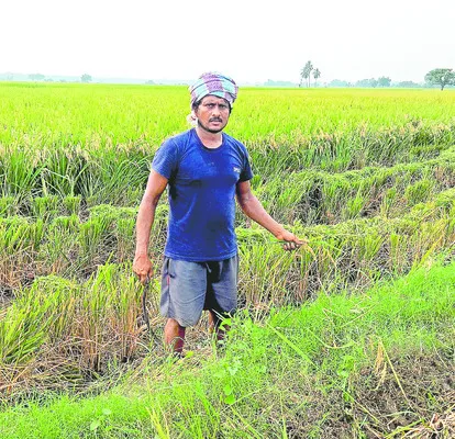అన్నీ