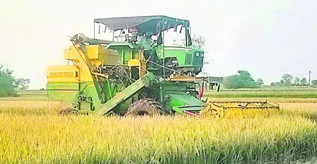 ధాన్యం కొనుగోళ్లకు సర్వం సిద్ధం 